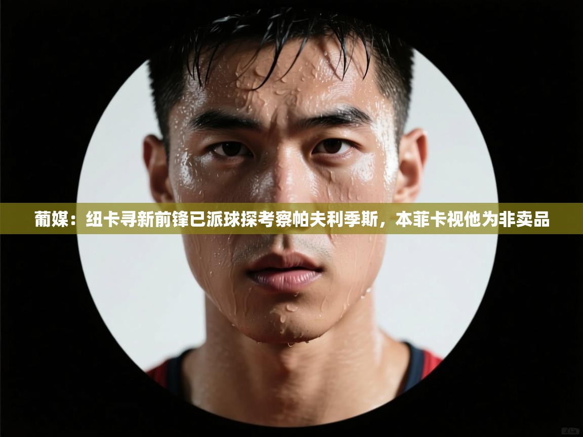 葡媒：纽卡寻新前锋已派球探考察帕夫利季斯，本菲卡视他为非卖品  第1张