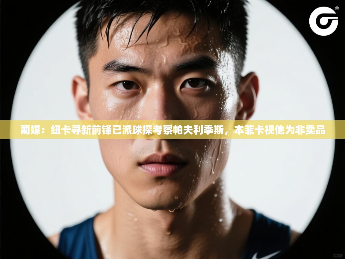 葡媒：纽卡寻新前锋已派球探考察帕夫利季斯，本菲卡视他为非卖品  第2张